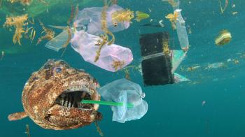 High School Detectives: Uncovering the Hidden Threat of Microplastics in Marine Life