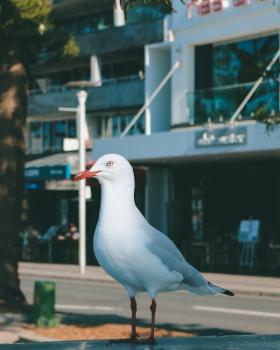 Marzano's New Taxonomy